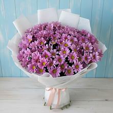 Букет цветов из:  Хризантемы в Козельске