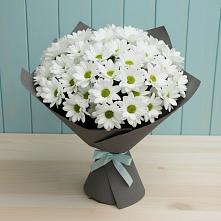 Букет цветов из:  Хризантемы #REPLACE_PRED# Козельске