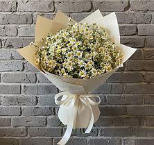 Букет цветов из:  Ромашки #REPLACE_PRED# Козельске