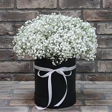 Цветочная композиция из Гипсофила в шляпной коробке #REPLACE_PRED# Козельске