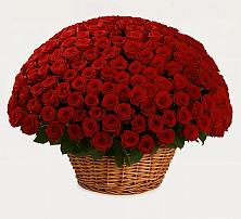 Премиум букет из: Розы в Козельске